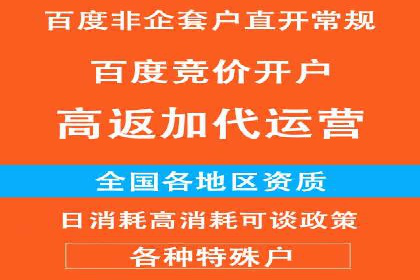 搜索引擎营销（SEM）中竞价专员的角色与案例